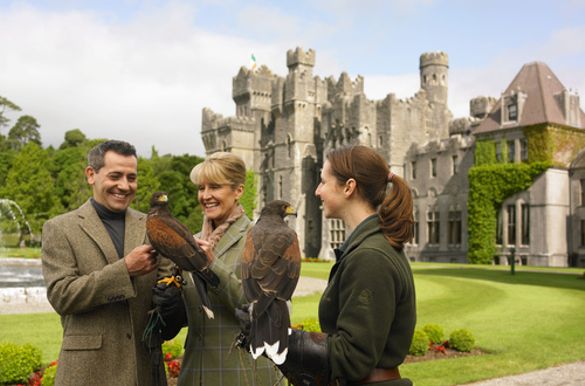 Falconry at Ashford Castle