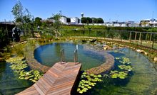 Eco-pool