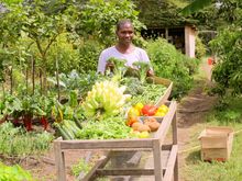 Head Gardener George