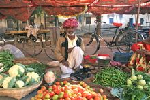 Wandering the World India Trip Highlights