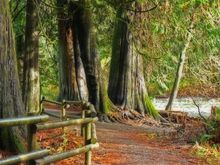Goldstream Park