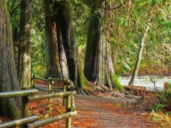 Goldstream Park