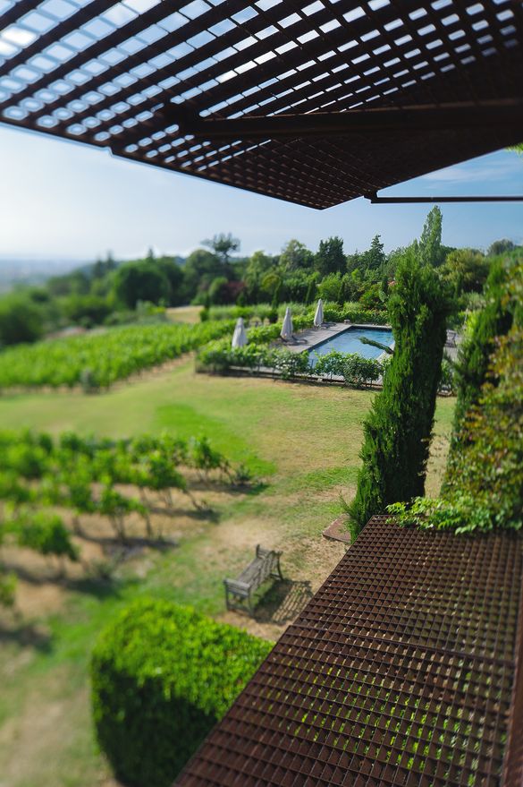 View from bedroom over the vineyard and swimming pool
