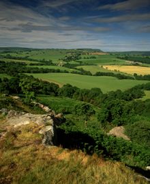 Corby Crags, Northumberland National Park