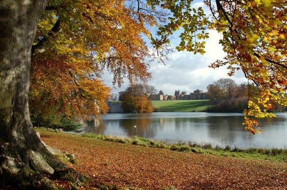 Autumn Colours