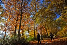 Autumn Colours at Castle Howard