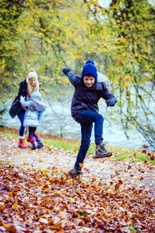Autumn Colours at Harewood House