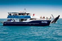 Tasman Venture, Hervey Bay whale watch operator