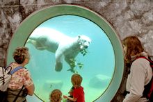 Zoo Karlsruhe