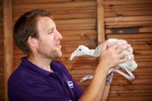 Head Keeper Alistair Keen with Flamingo Chick