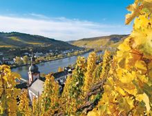 The vineyards of Germany