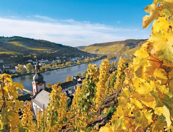 The vineyards of Germany The vineyards of Germany