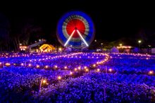 Floriade NightFest