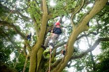 Tree climbing at the National Forest Wood Fair