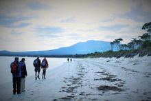 Life's An Adventure Maria Island