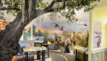 Learn the difference between a marsh and a bayou at Adventure Point