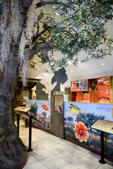 Exhibits at Creole Nature Trail Adventure Point