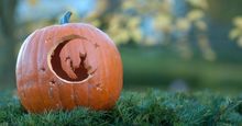 Pumpkin carving at The Alnwick Garden