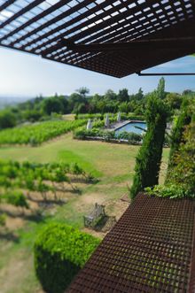 View from bedroom over the vineyard and swimming pool
