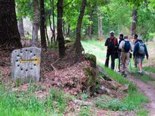 Camino guided group, CaminoWays.com