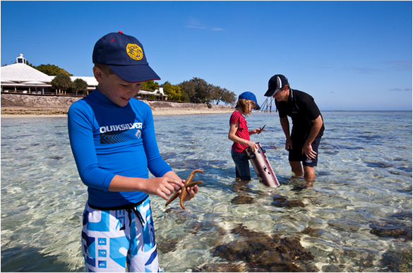 Reef Walking, Heron Island, Great Barrier Reef