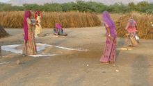 Rajasthan, India