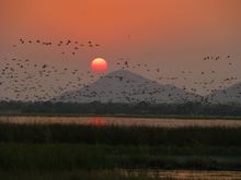 Rajasthan, India