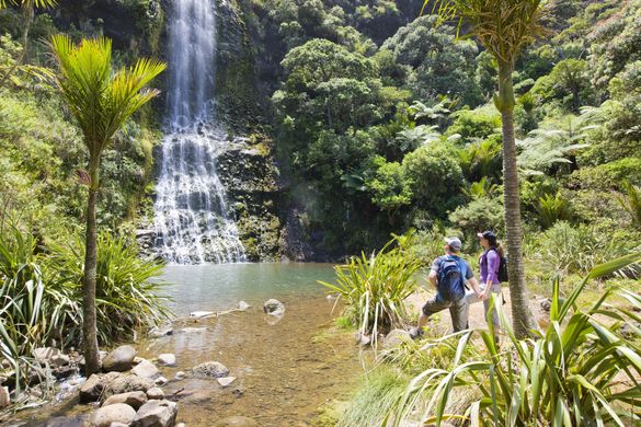 See a beautiful Waterfall with TIME Unlimited Tours