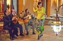 Flamenco workshops and private performances