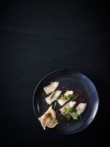 Glacier 51 Toothfish