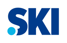 .Ski Logo