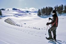 Yellowstone on Skis is a particularly popular Lodging & Learning program. The multi-day program includes ski excursions into the