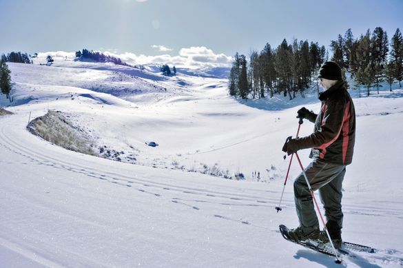 Yellowstone on Skis is a particularly popular Lodging & Learning program. The multi-day program includes ski excursions into the