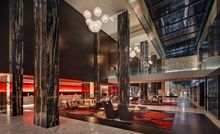 The Darling lobby