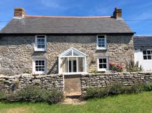 Evergreen at Rinsey Cove, Cornwall ref T23