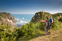 Auckland's Stunning Watakere Ranges with TIME Unlimited Tours