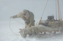 Tim Jarvis, Trailblazers: Australia's 50 greatest explorers at Australian Museum, Sydney