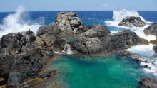 Natural Pool 