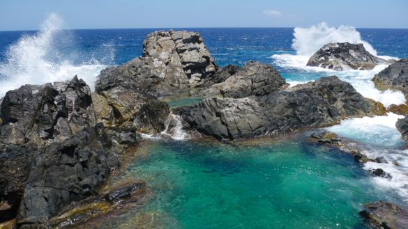Natural Pool 