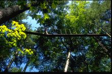  Walk in the Clouds, Haliburton, Ontario, Canada
