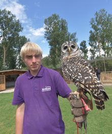 Discover why Owls are considered wise at Birdland