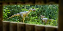 Journey to the Jurassic at Birdland
