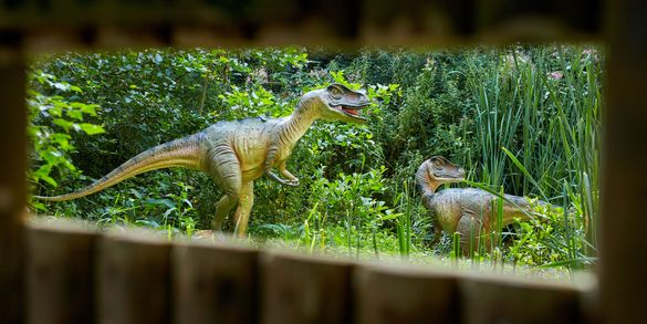Journey to the Jurassic at Birdland