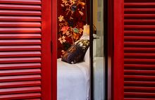 Room and Red Shutters