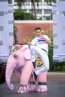Tony Jaa - Elephant Parade Bangkok 