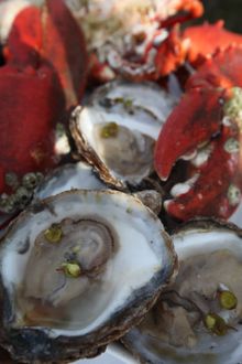 Danish Oysters