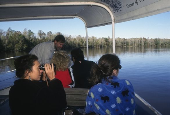 Nature Cruise Along the Storied and Scenic Cape Fear River