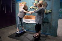 Catch a wave or surf the sewer - it's up to you as Teenage Mutant Ninja Turtles appear in first ever museum exhibit