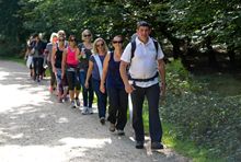 Fitter, Stronger - New Forest Hike
