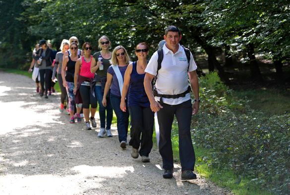 Fitter, Stronger - New Forest Hike